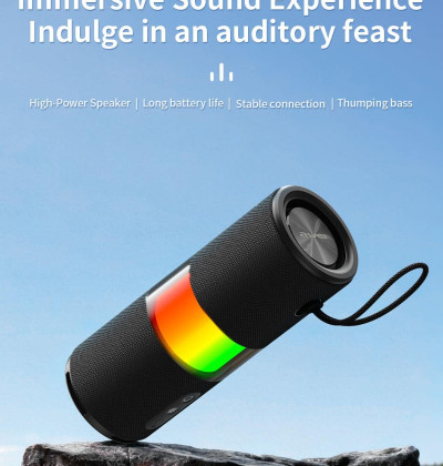 AWEI Y669 Lite 30W Speaker