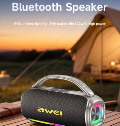 AWEI Y887Pro 40W Speaker